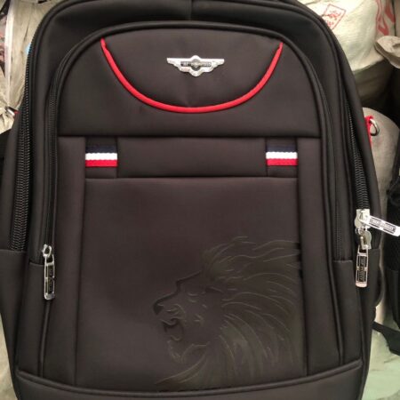 Strong and Durable School/Laptop Bags 19